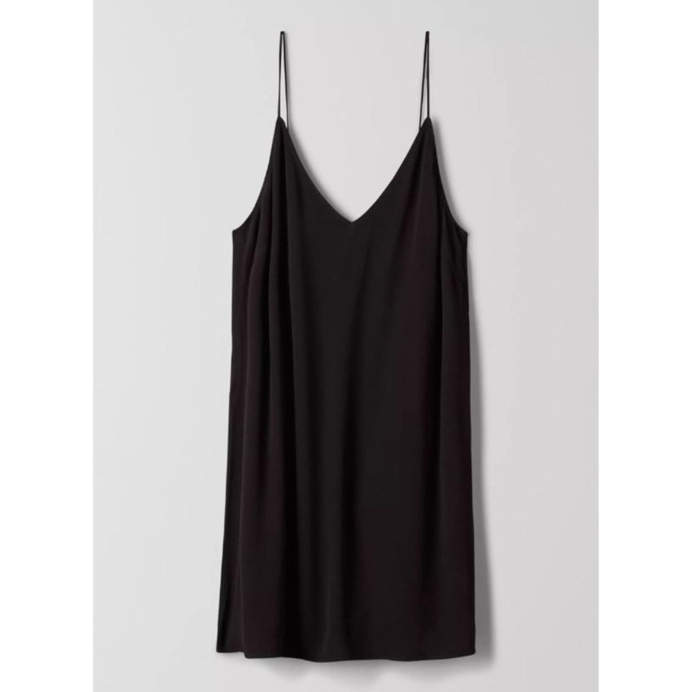 Aritzia Vivienne Dress